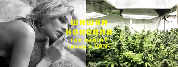 СК Зерноград