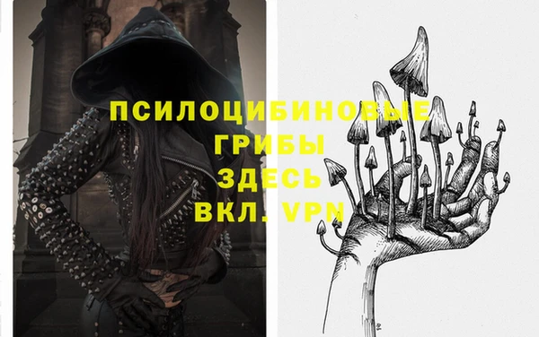 ECSTASY Зеленокумск