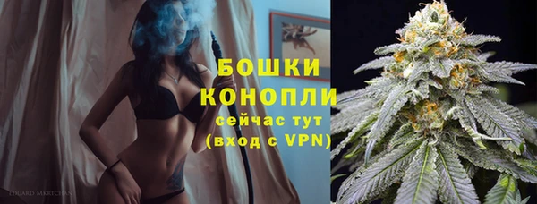 СК Зерноград